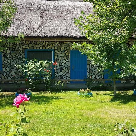 Pensiunea Iubire De Delta " La Traian " Murighiol Exterior foto