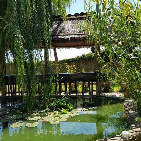 Pensiunea Iubire De Delta " La Traian " Murighiol Exterior foto