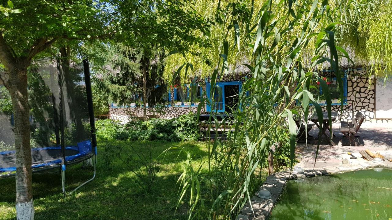 Pensiunea Iubire De Delta " La Traian " Murighiol Exterior foto