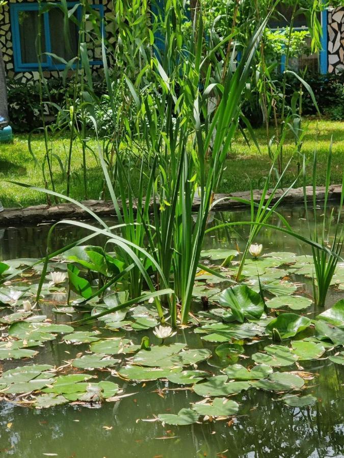 Pensiunea Iubire De Delta " La Traian " Murighiol Exterior foto